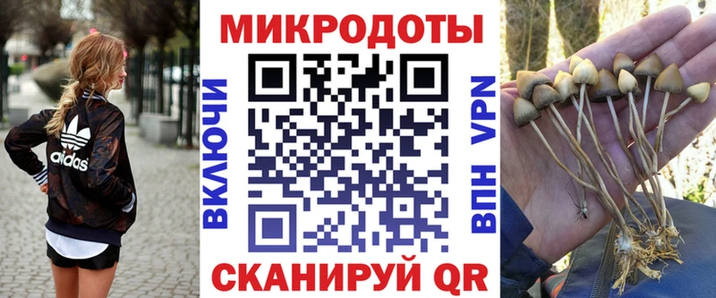 Псилоцибиновые грибы ЛСД  Ялта 