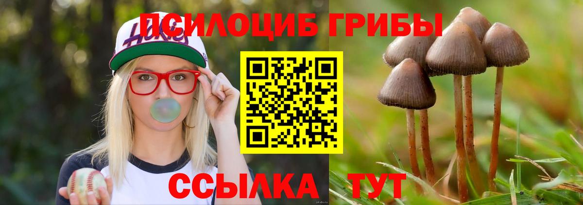 Псилоцибиновые грибы ЛСД Ялта